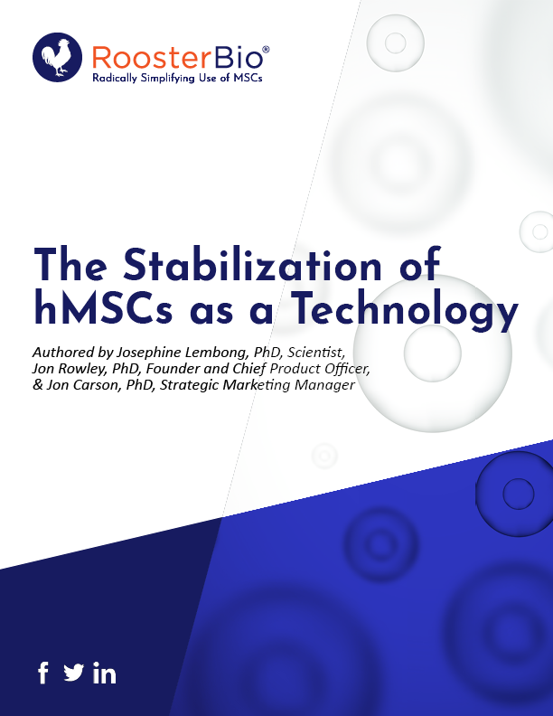 The Stabilization of hMSCs as a Technology